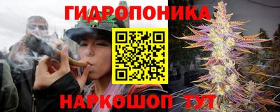 ПСИЛОЦИБИНОВЫЕ ГРИБЫ Гай