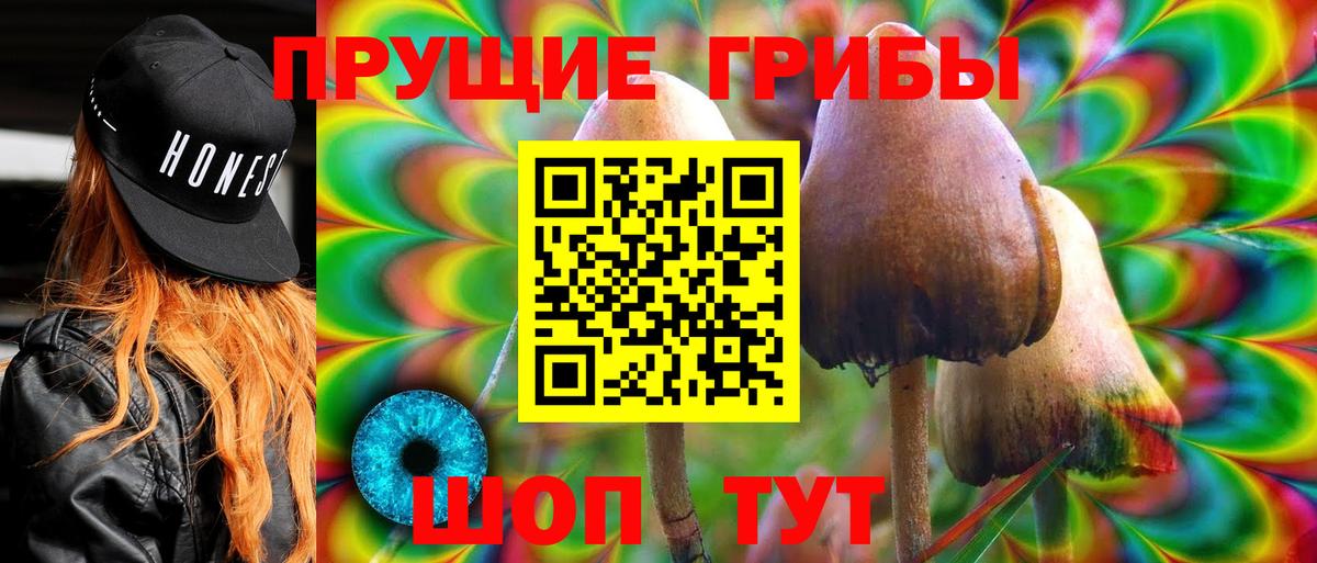 Галлюциногенные грибы GOLDEN TEACHER Мурино